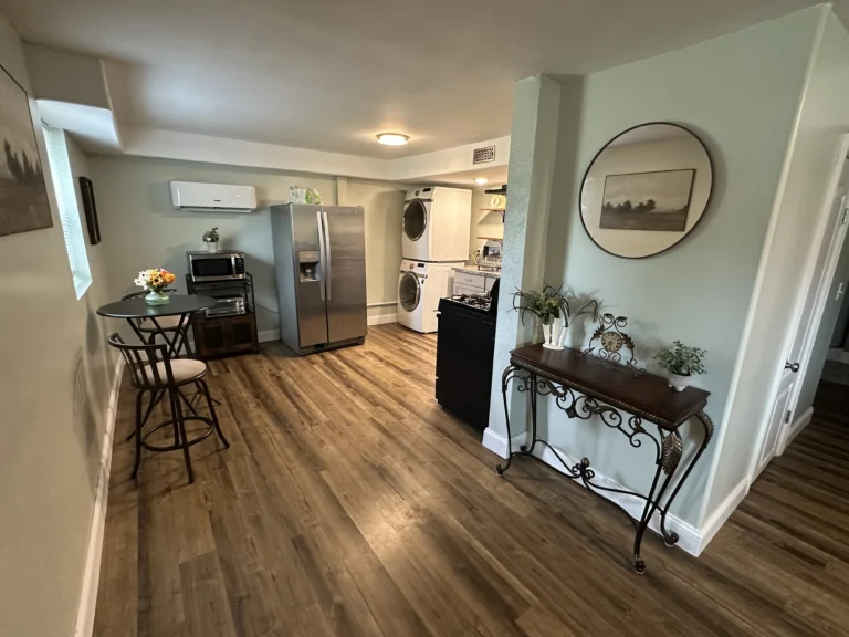 Basement kitchenette and laundry area with new flooring in Johnson City remodel